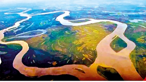 river linking project