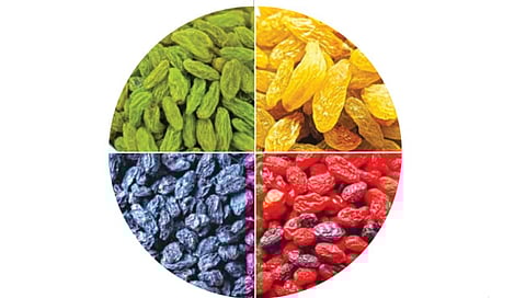 Currants of all colors are rich in nutrients