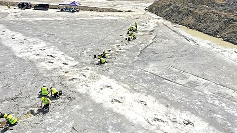 laborers accidentally discover dinosaur path in england