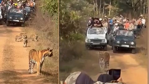 Pauni Karhandla Sanctuary  