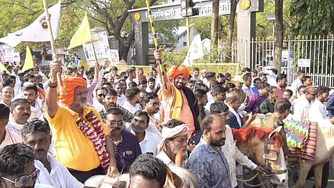 Bachchu Kadu, Mahadev Jankar Wada Agitation 