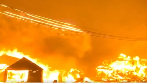 Wildfire In california Forest