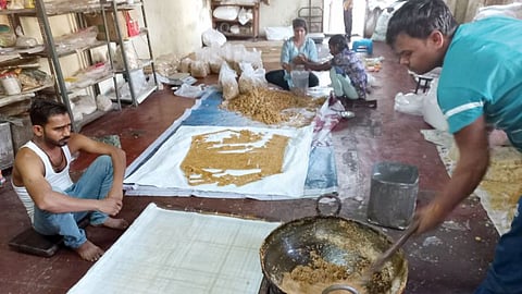 Makar Sankranti Festival