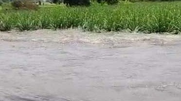 Yavatmal canal breach