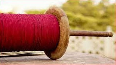 नागपूर : पतंगबाजीत दोघांचा गेला जीव, अनेकजण जखमी