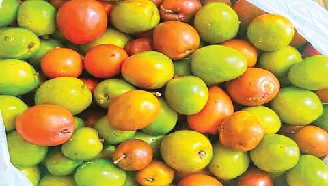 Bor fruit health benefits 