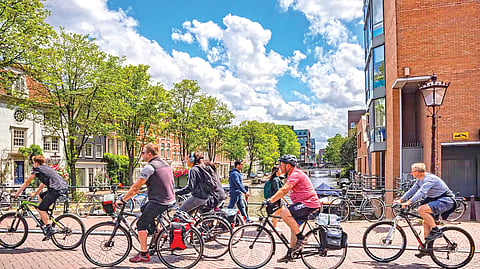  unique things to see on earth