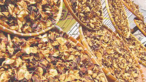 peel of 'this' fruit is very expensive