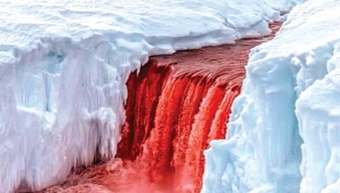 A waterfall of blood falls in Antarctica