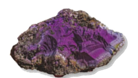 color more expensive than gold