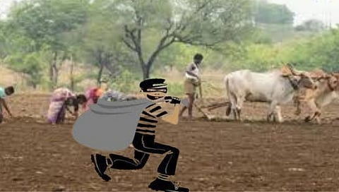 शेती उपयोगी साहित्यांची चोरी, नाशिक