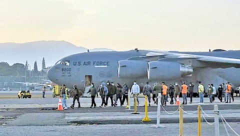 डंकीचा डंख