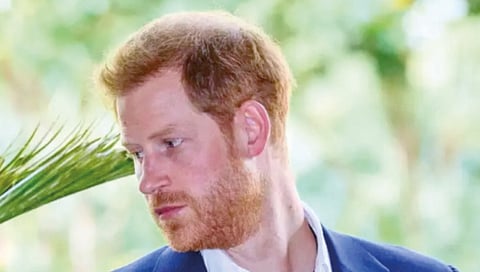 हॅरी यांना अमेरिकेतून हद्दपार करणार नाही : ट्रम्प 