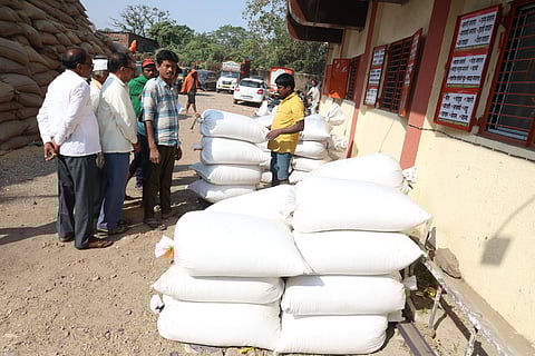 रायगड जिल्ह्यात यंदा भाताचे भरघोस पीक 
