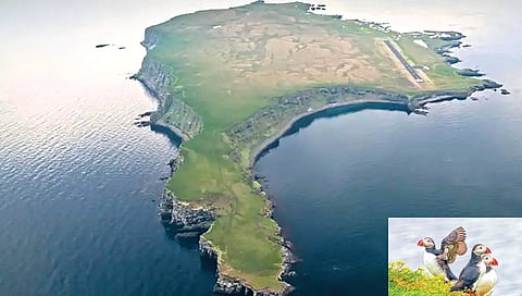  island with 20 people and 10 lakh birds