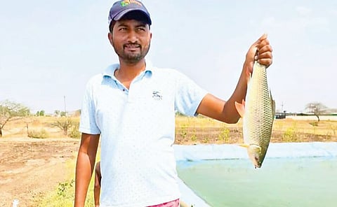 वनपुरीत मत्स्यशेतीचा यशस्वी प्रयोग; एका तळ्यातून 200 किलो माशांची विक्री  