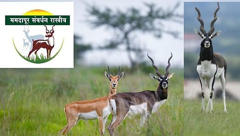 ममदापूर, वन्यजीव पर्यटन केंद्र, नाशिक