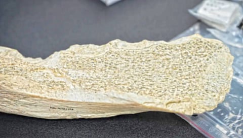 1.5 million year old bone tools found in tanzania