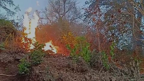 Vasai environment damage