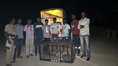 नेवाळी, ठाणे