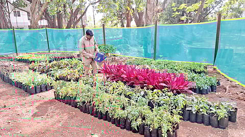 Greener Belgaum |