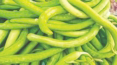 उन्हाळ्यात काकडी ठरते ‘सुपरफूड’!