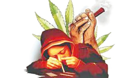 drug-supply-to-young-children-in-campus