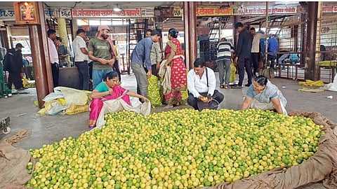 पुण्यात मद्रास, हैदराबादी लिंबांची चलती; 50 रुपयांना पाच नग