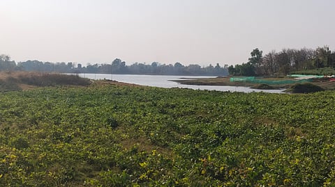 डोळखांब, ठाणे