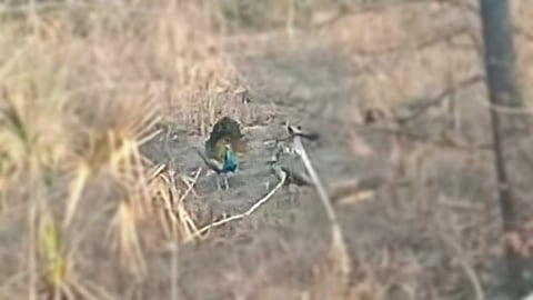 कल्याण, ठाणे