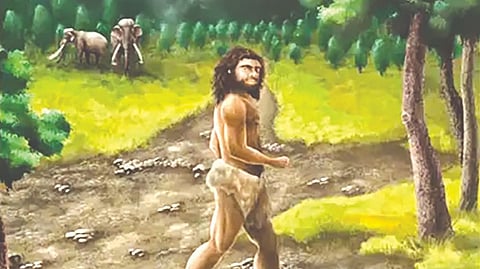Denisovan human