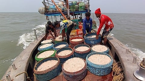 मत्स्यव्यवसायाला कृषीचा दर्जा मिळण्याचा प्रस्ताव