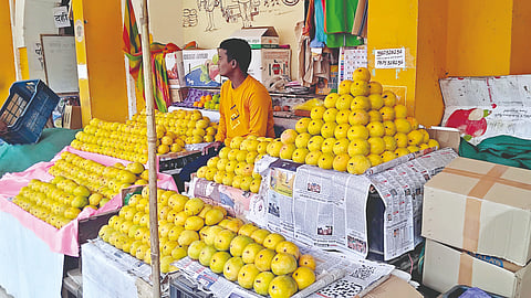Vengurla Hapus mango price