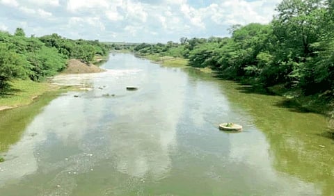 Seena river 