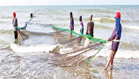 new-competition-in-fisheries-sector