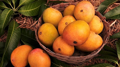 Mango Health Benefits