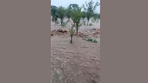 Beed rainfall damage