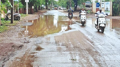 Sangli Rain News |
