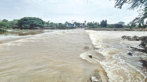 Satara Rain News |