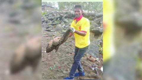 Vasai Sea Pollution News