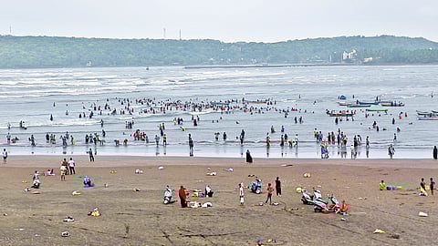 Chinese clams Bhatye beach