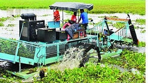 Mumbai Lake Clean up 