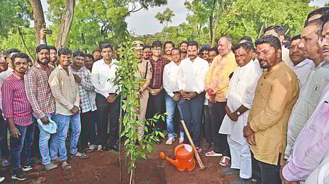 planting-ten-thousand-trees-on-jyotiba-hill-begins