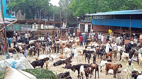 Bakri Eid