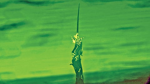 worms-build-tower-like-structures-for-migration