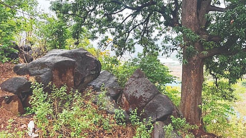 Karjat Tehsildar Inspection