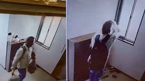 Mumbai man throws a cat 