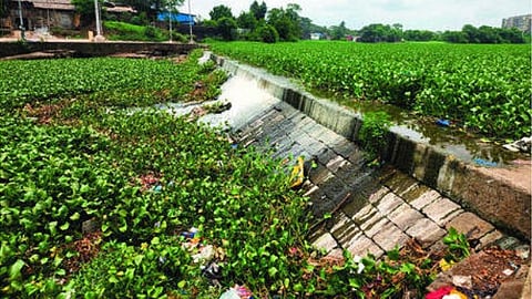 Kamwari River Crisis
