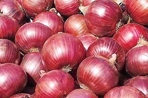 Onion Price