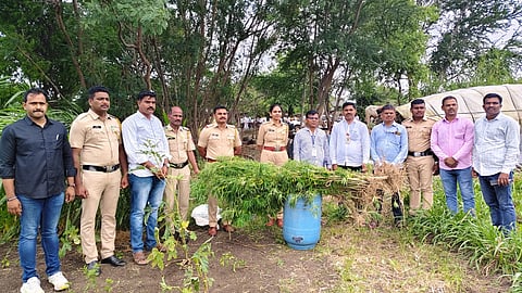 ₹3.94 Lakh Ganja Seized